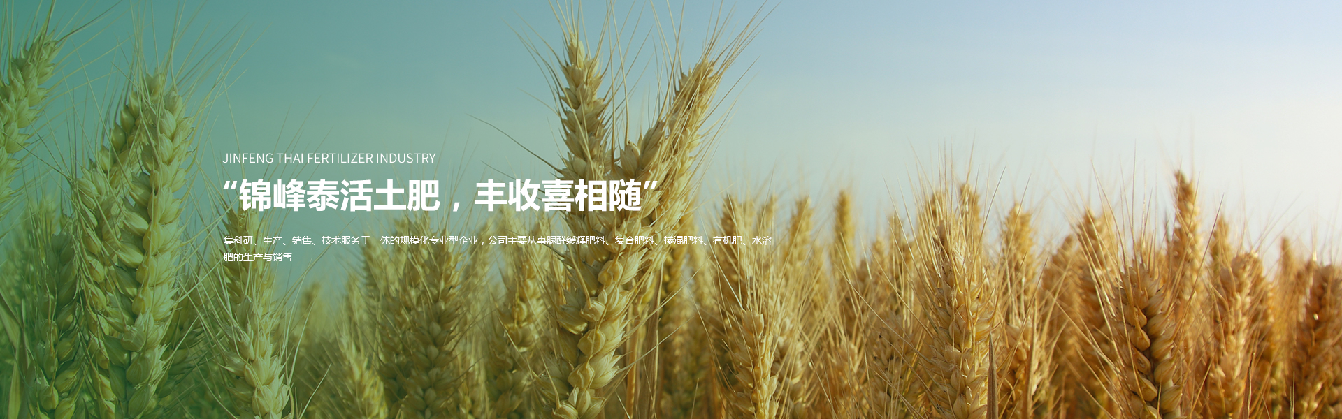 辽宁锦峰泰肥业有限公司