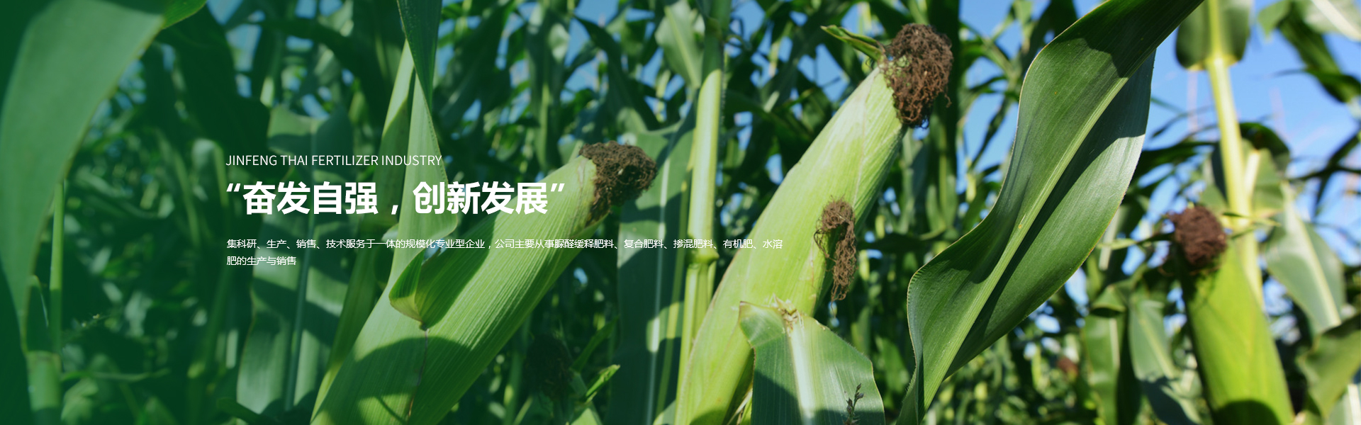 辽宁锦峰泰肥业有限公司