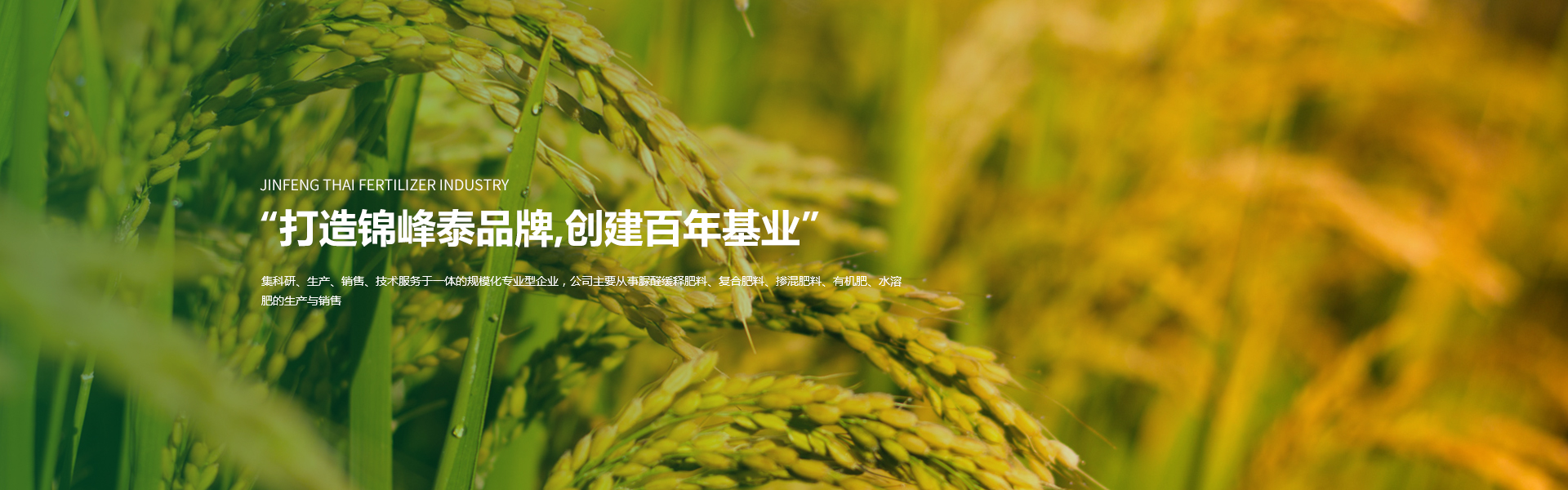 辽宁锦峰泰肥业有限公司